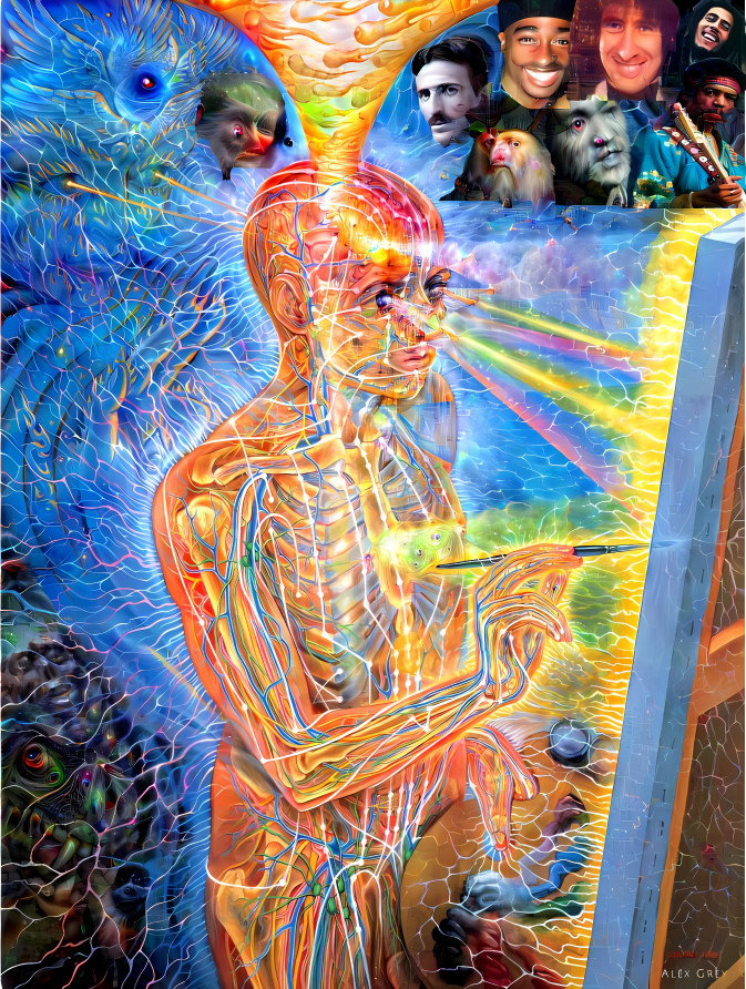 alex grey the painter 