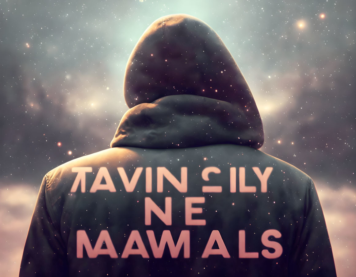 Person in hoodie with mysterious text gazing at starry sky