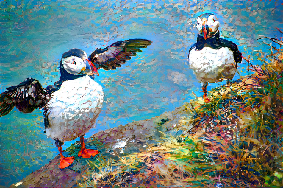 Puffins 2