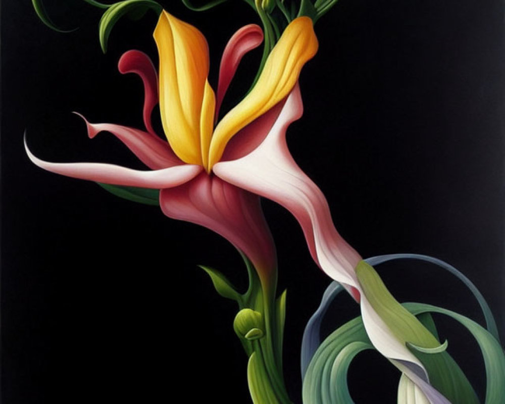 Colorful Stylized Yellow and Pink Lily Painting on Dark Background