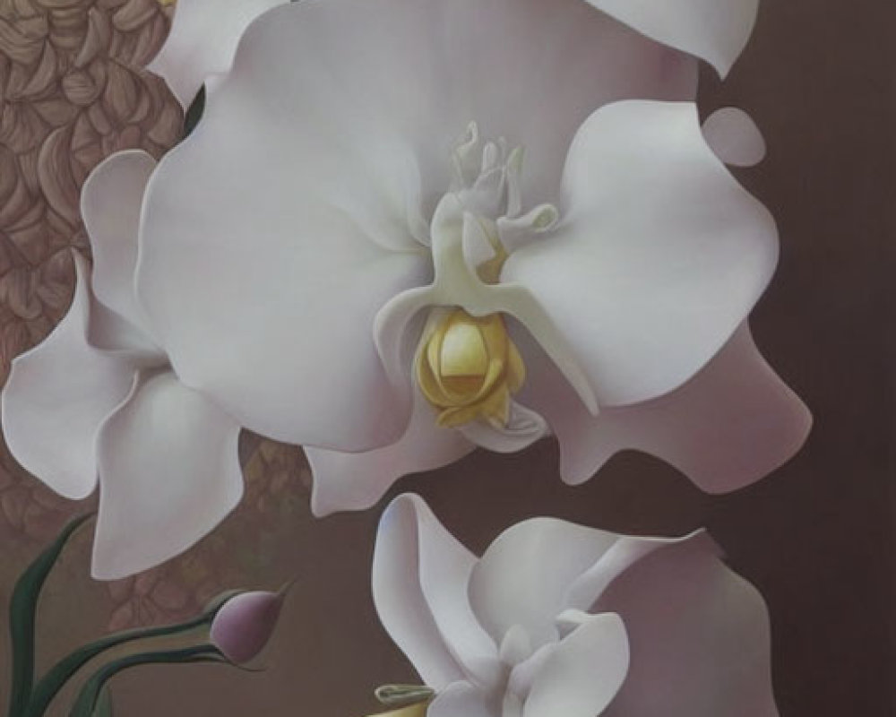 Vertical painting of white orchids with yellow centers on textured brown background