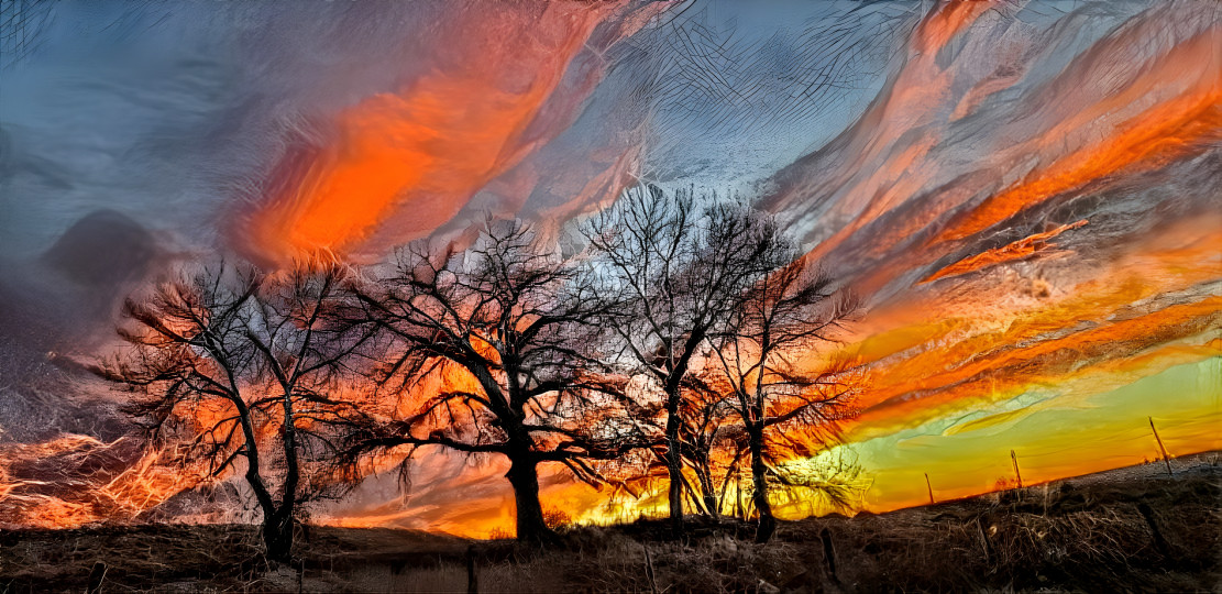 Sunset trees