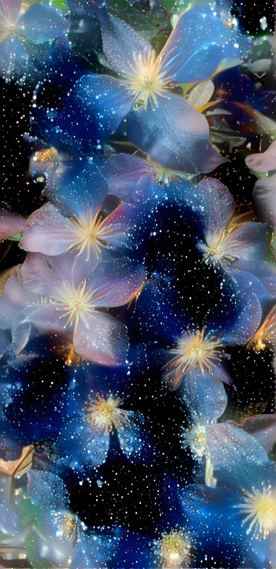 Cosmic flowers