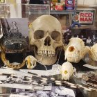 Dark Still Life: Skulls, Candles, Books & Mystical Symbols