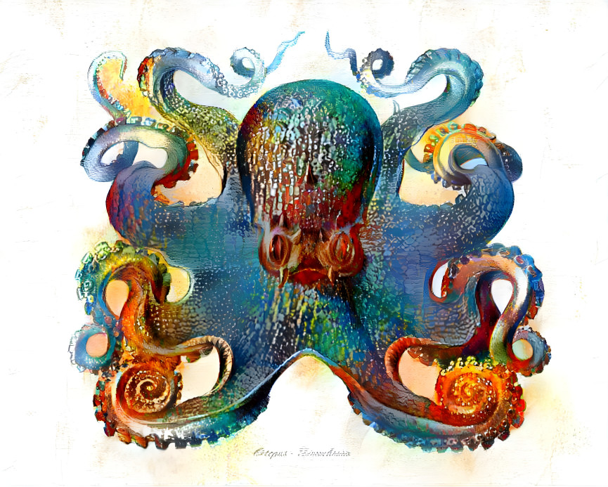 Rainbow Octopus 