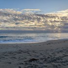 Tranquil beach scene with pelicans and seagulls over ocean waves at twilight