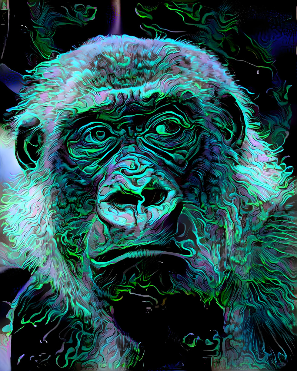 Gorilla 