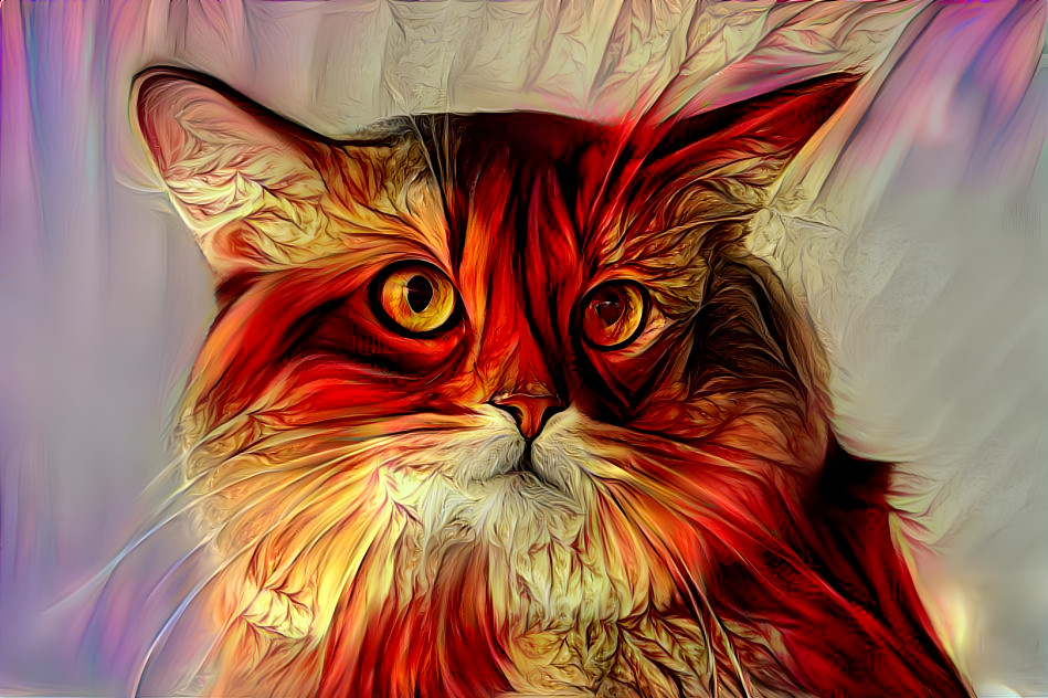 Red Cat