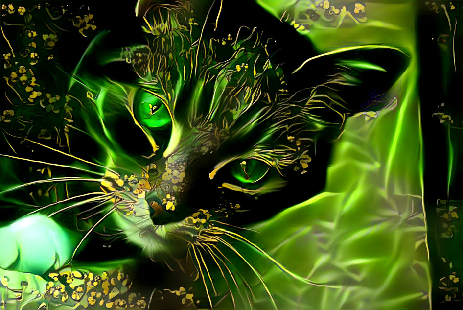 Green Cat