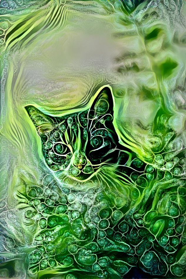 Cat in green