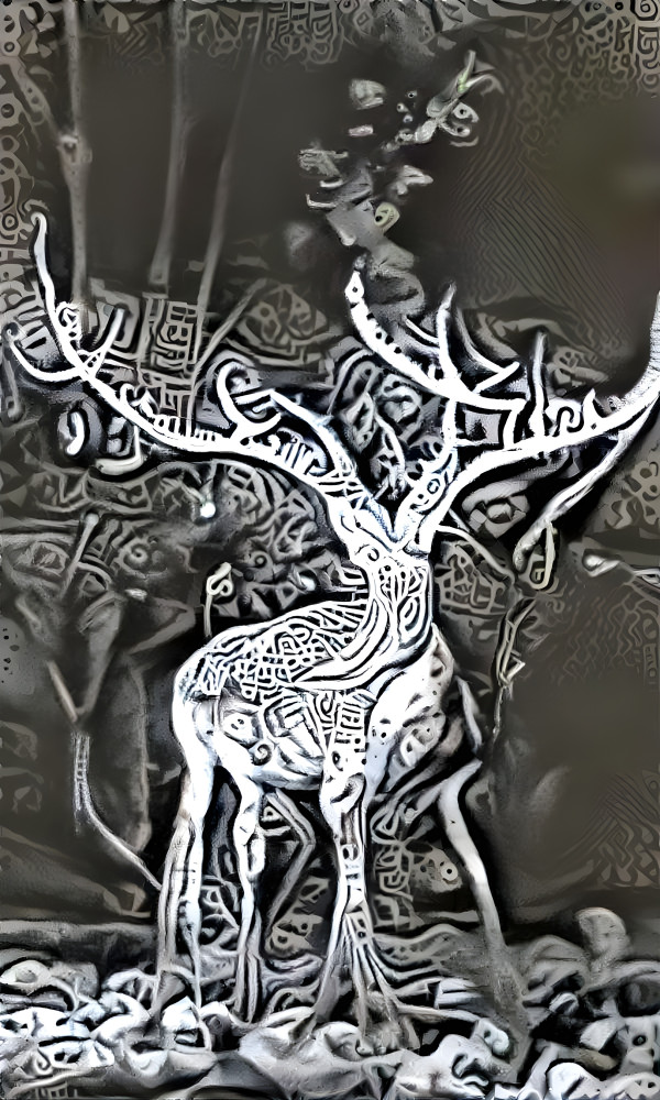 Deer5