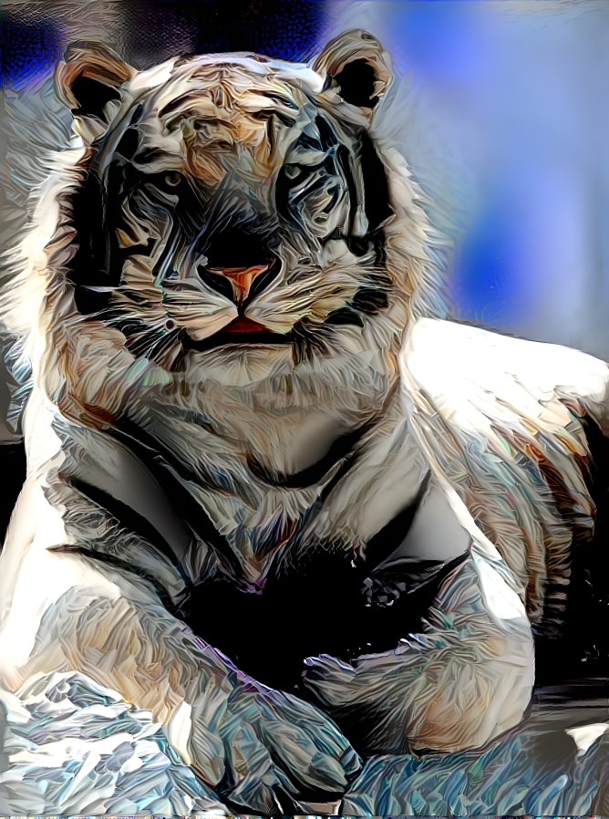 Tiger7