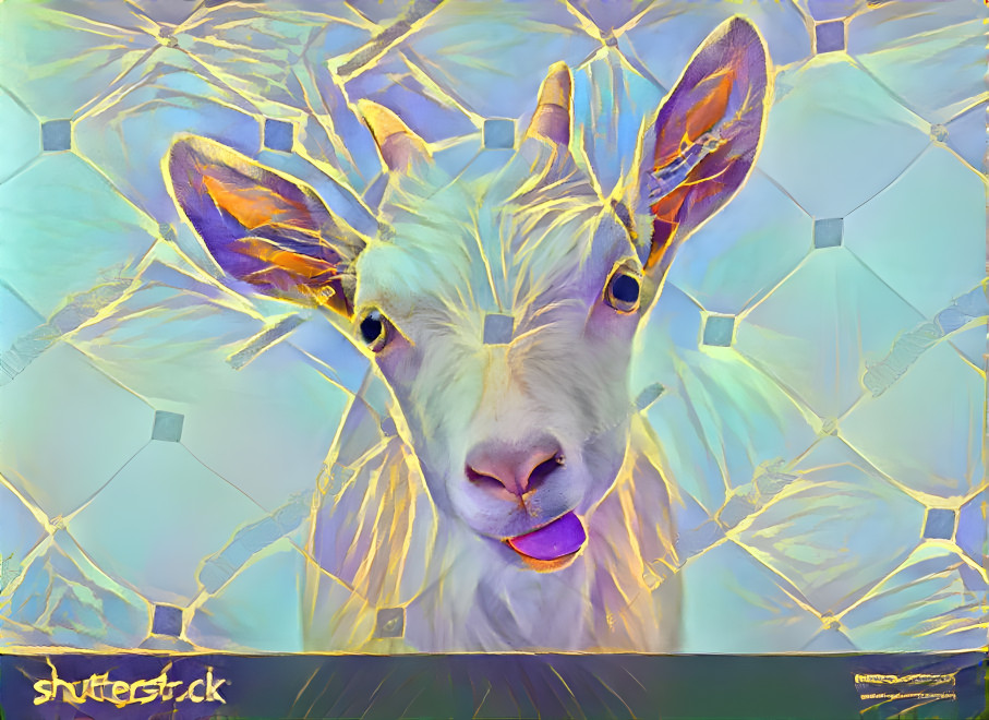 White Goat