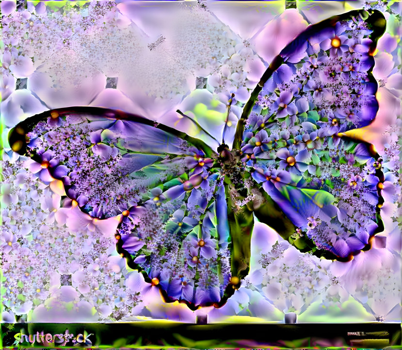 Butterfly 