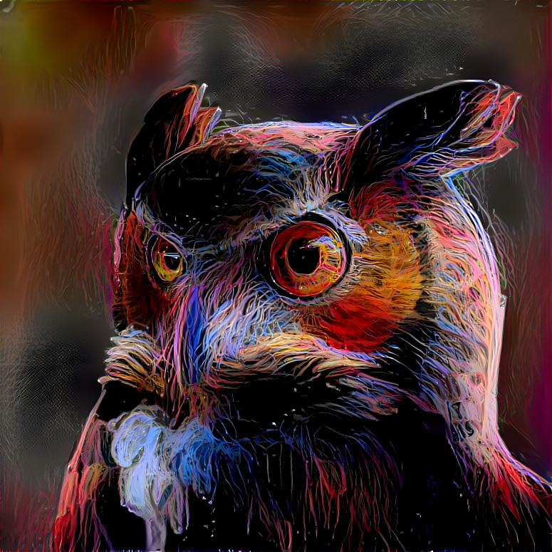 Owl