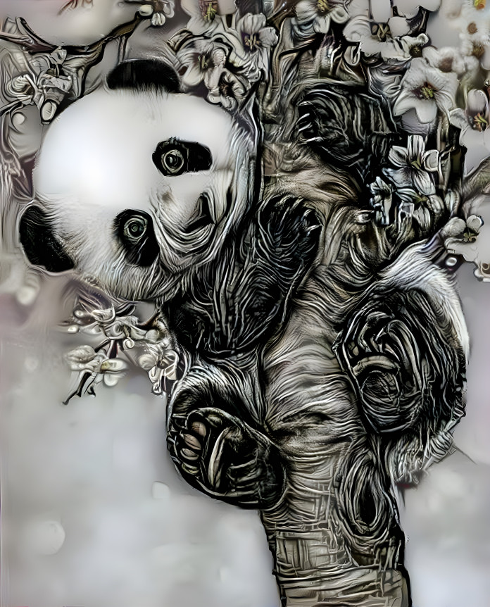 Pandas