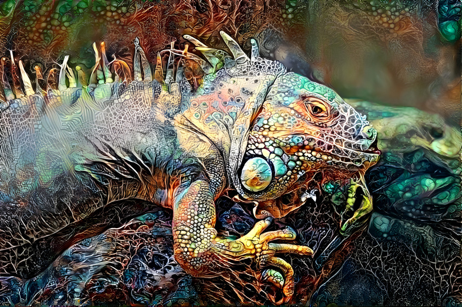 Iguana