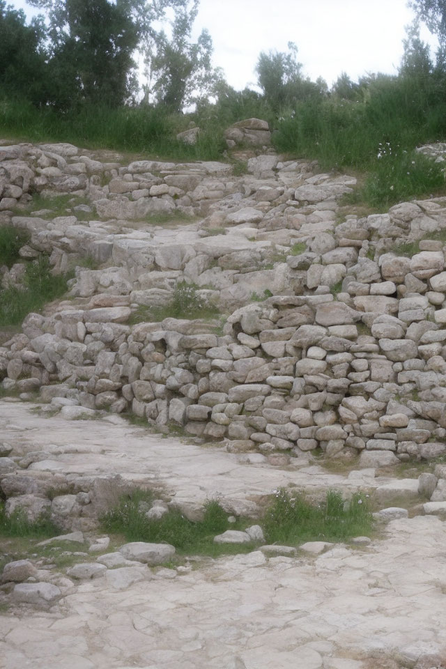 Weathered stone staircase in natural setting with grass and shrubs