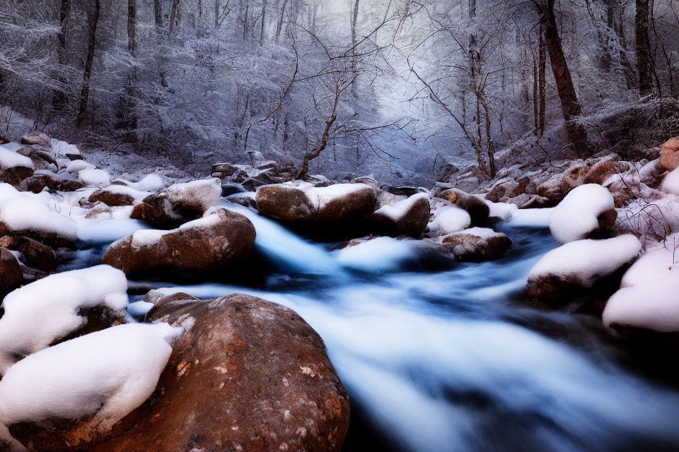 Winter landscape: stream among snow-covered rocks in serene wooded setting