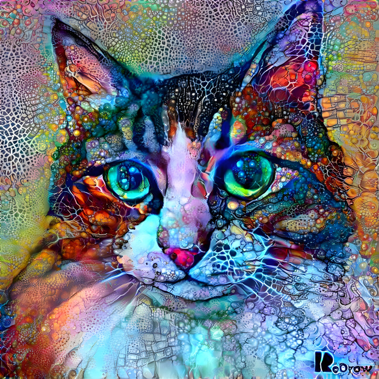 dmt catto