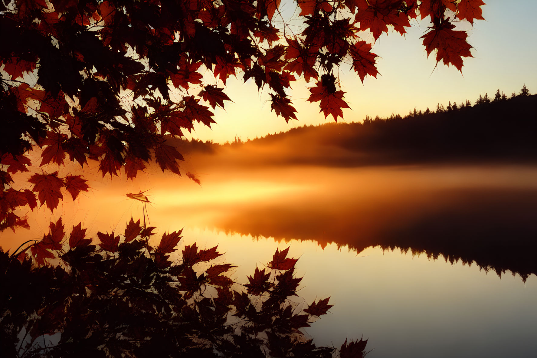 Tranquil autumn lake scene at sunrise with mist and colorful leaves