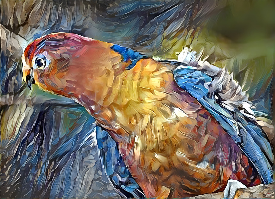 Bird