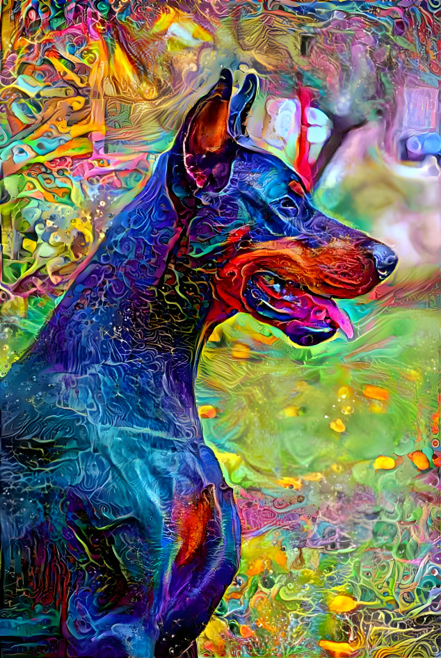 Dream Doberman