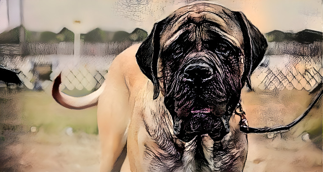 Mastiff