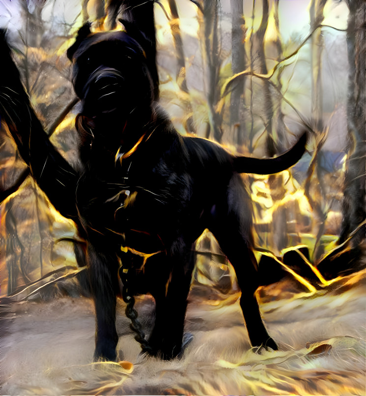 Presa Canario of Legend