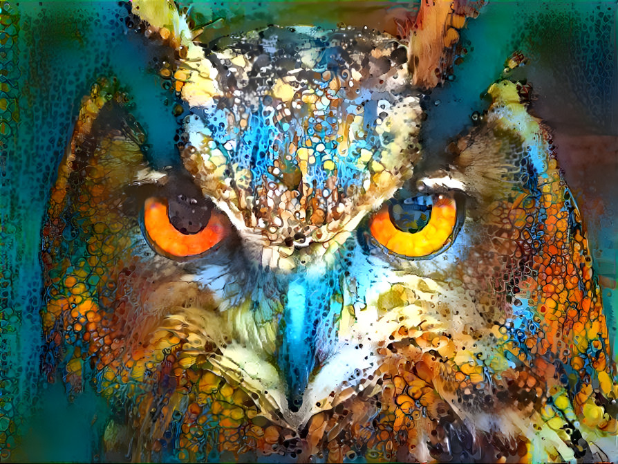 Magical OWl