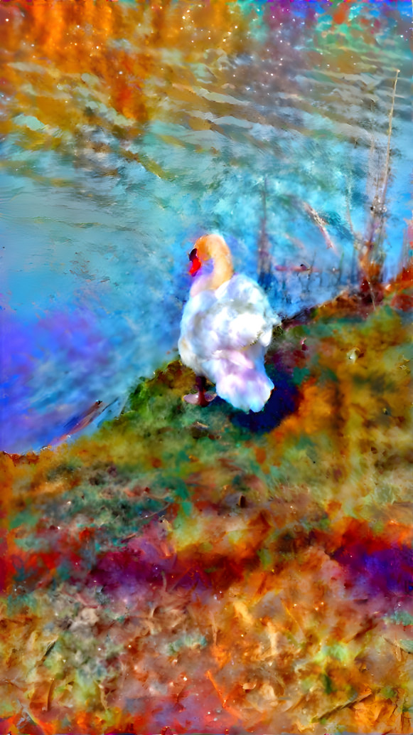 Rainbow swan