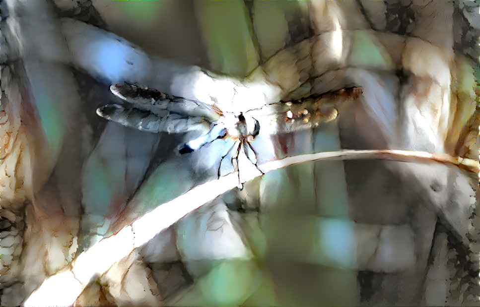 Dragonfly