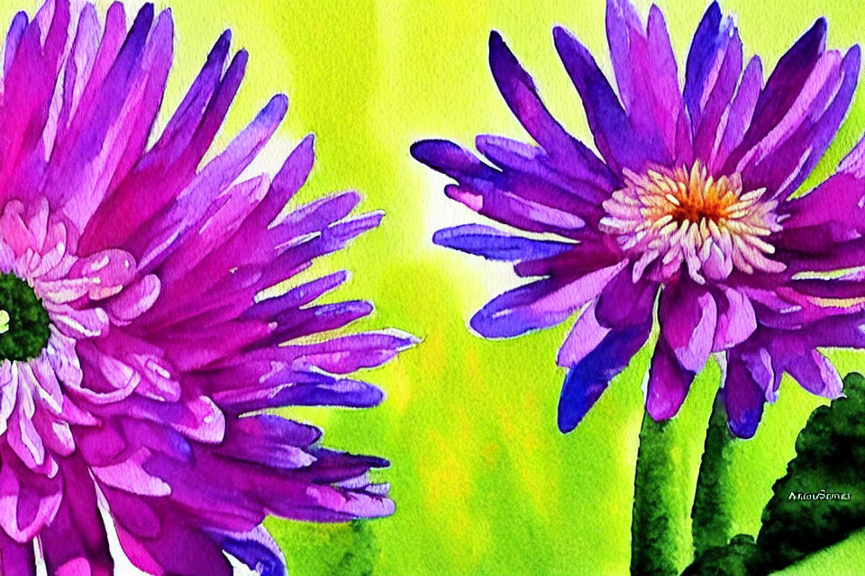 Colorful Watercolor Painting: Purple Daisies on Green and Yellow Background