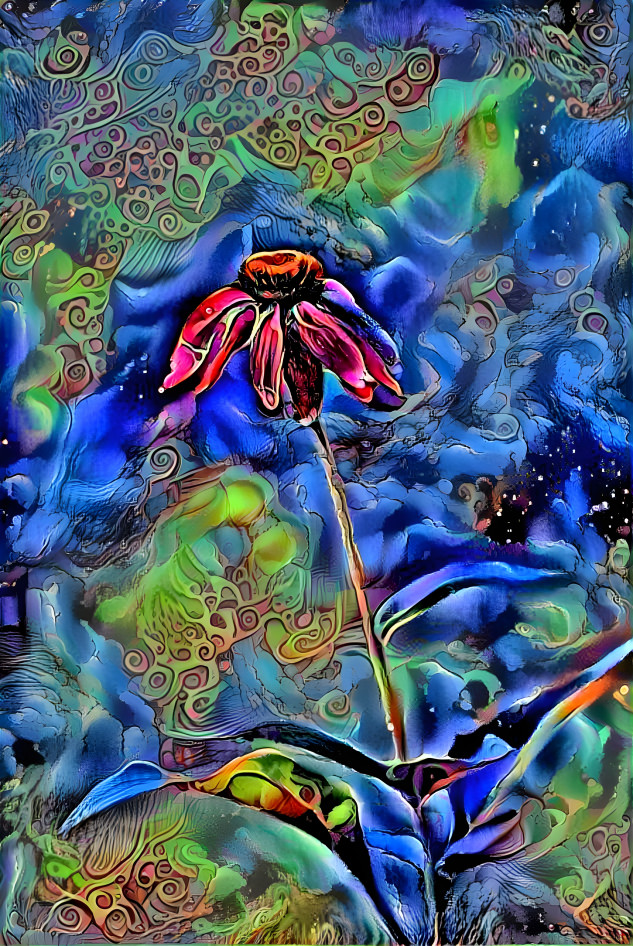 Cosmic Coneflower