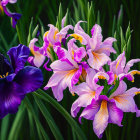 Vibrant birds among pink and purple flowers in lush greenery