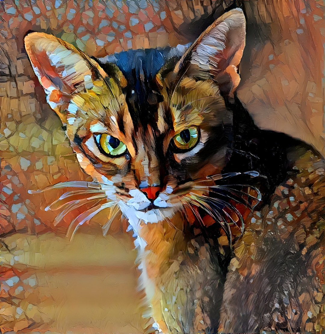 Painted Cat