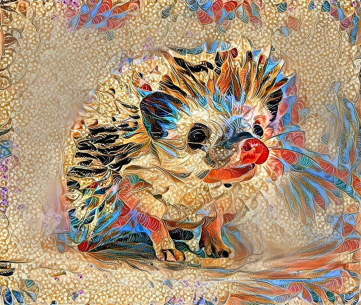 Hedgehog