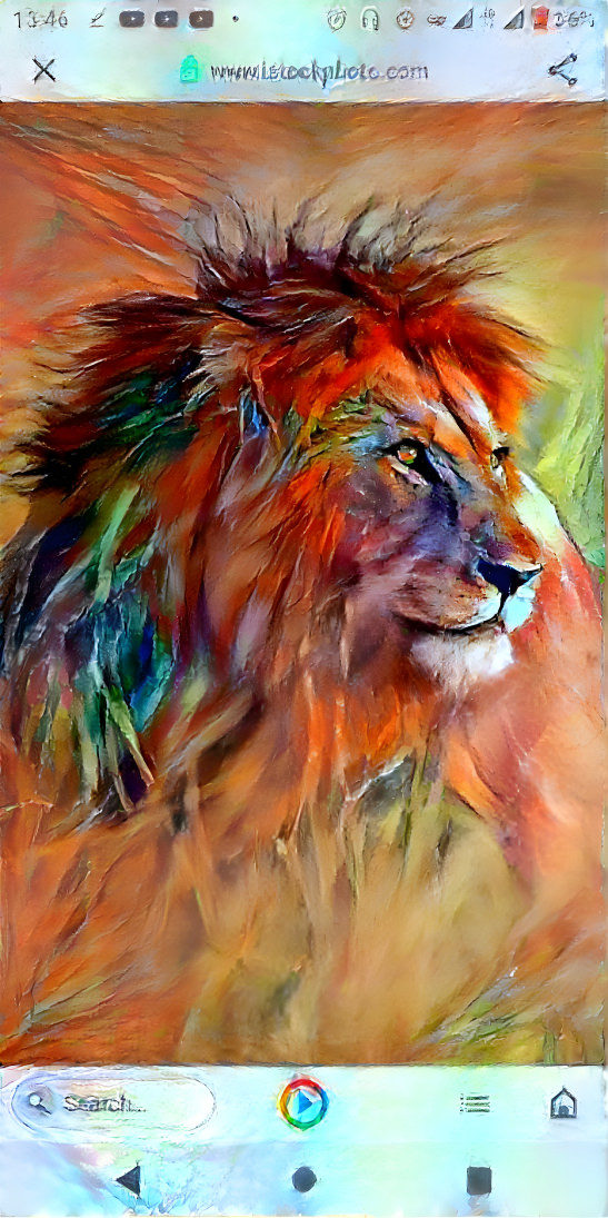 African lion