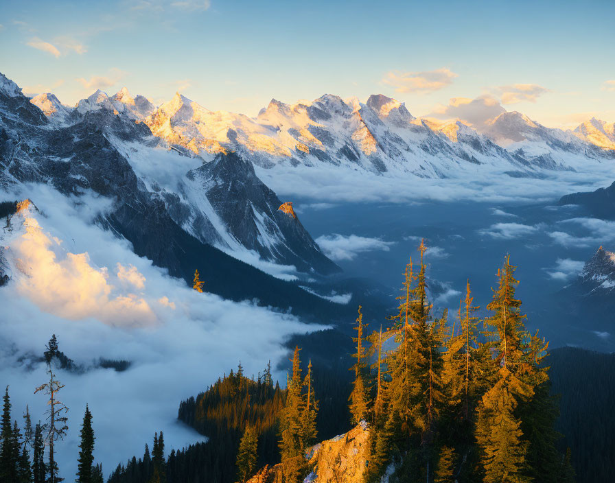 Snowy mountain peaks and evergreens in tranquil alpine sunrise.