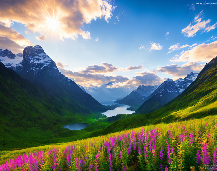 Scenic sunset view of lush valley with mountains & lake