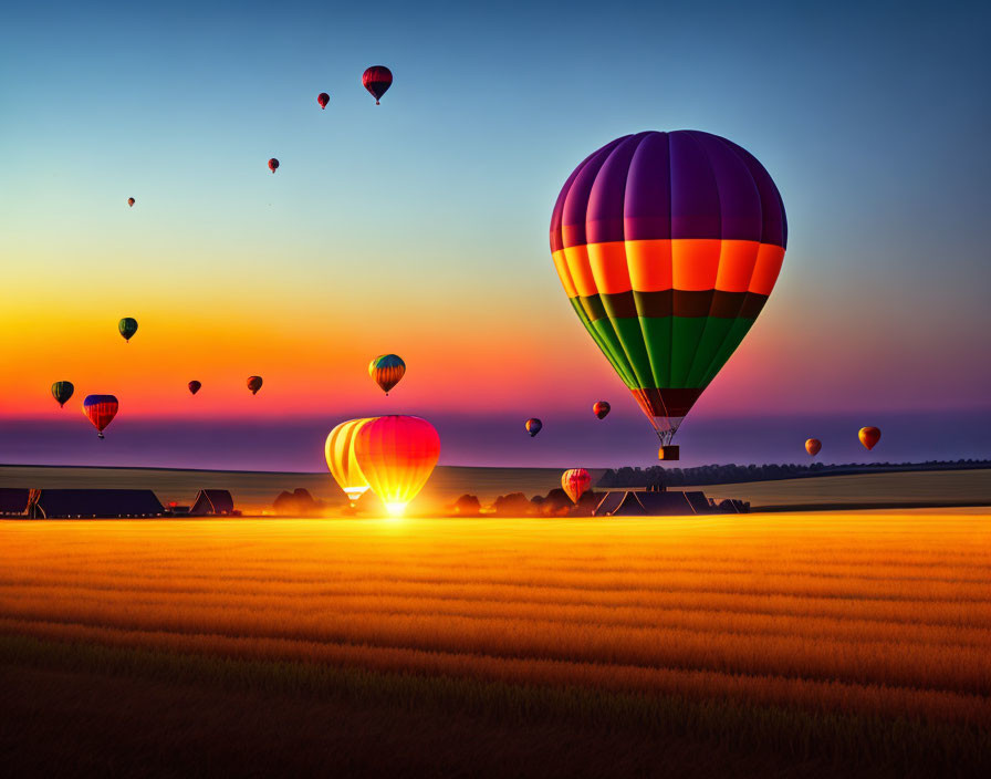 Vibrant hot air balloons over golden field at sunrise