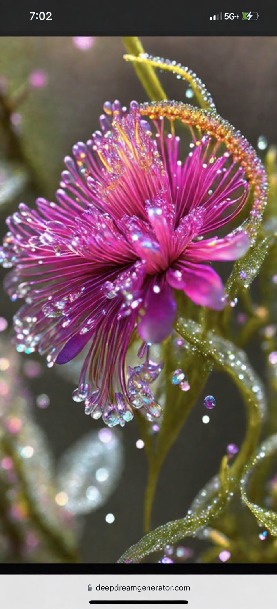 Pink Flower with Dew Drops on Petals and Foliage in Blurred Background