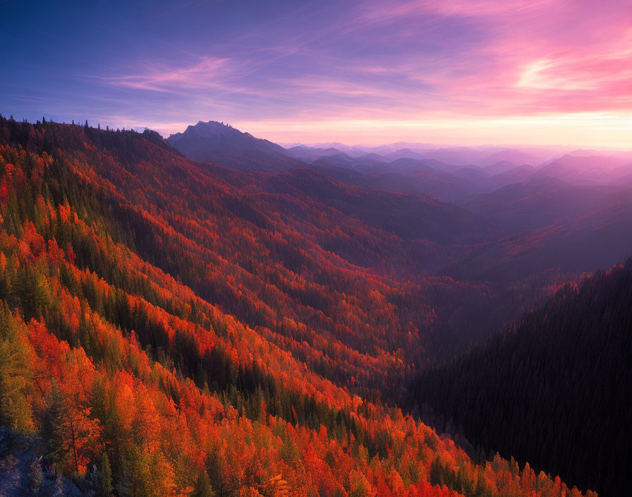 Scenic sunset over autumn forest landscape with vibrant colors