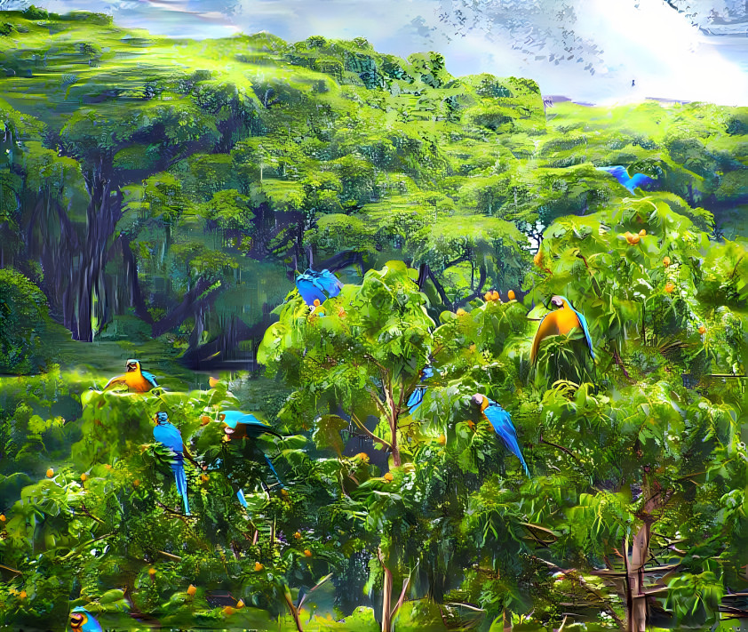 blue and yellow macaws