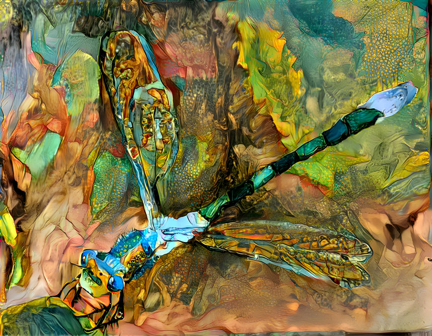 Dragonfly 