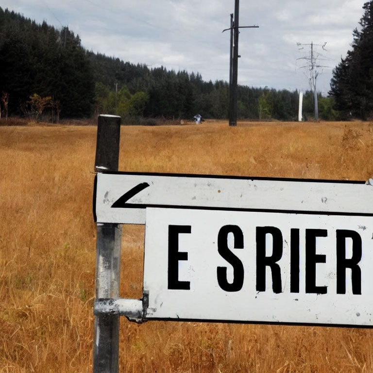 Weathered Road Sign with Leftward Arrow in Grassy Field