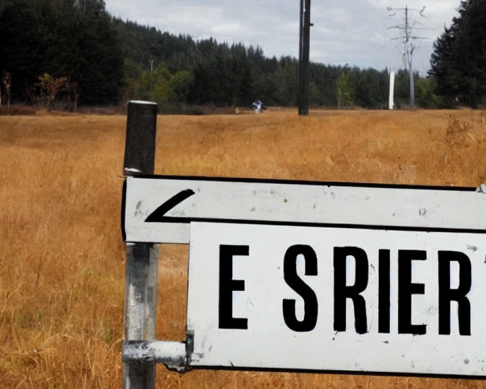 Weathered Road Sign with Leftward Arrow in Grassy Field