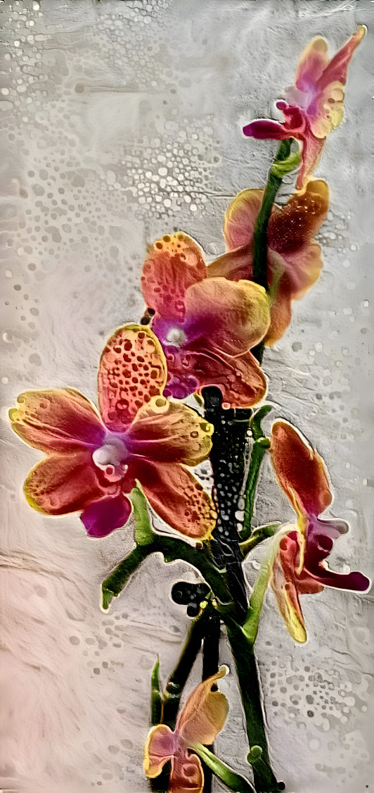 Orchid