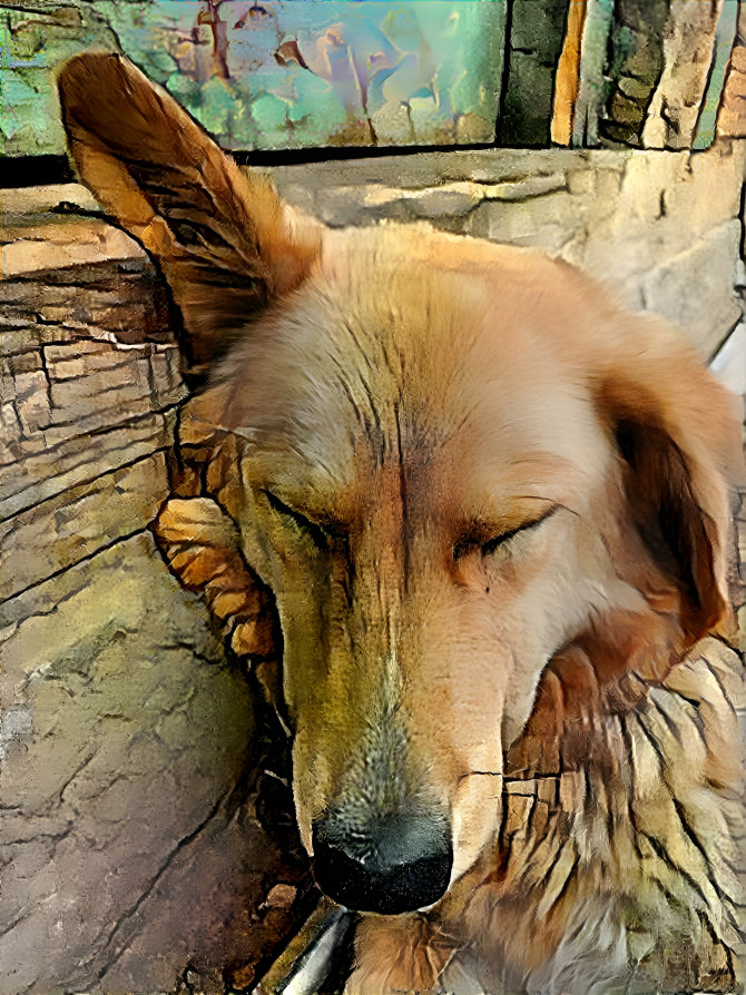 Sleeping dog