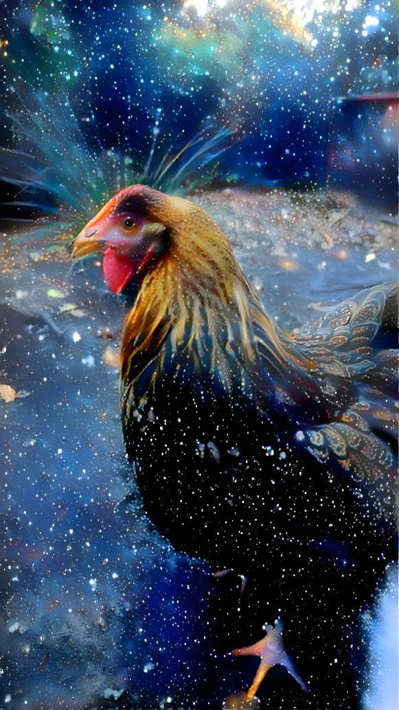 Space Chook